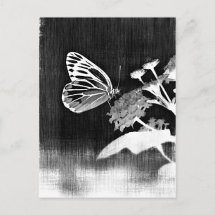 Vintage Schmetterling auf Blüte - Schwarz und Weiß Postkarte