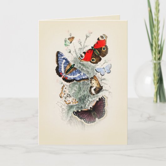 Vintage Schmetterling Boho Chic Karte (Vorderseite)