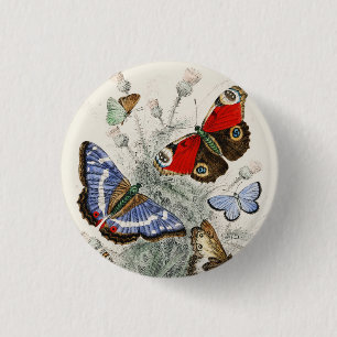 Vintage-Schmetterling-Botanische Wissenschaftliche Button