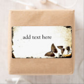 Vintage Schmetterlinge (Insitu)