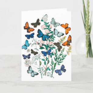 Vintage Schmetterlinge/Blume Kunst, Weiß Dankeskarte