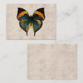 Vintage Schmetterlinge der Visitenkarte (Vorne/Hinten)