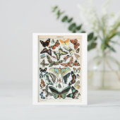 Vintage Schmetterlinge der Welt Postkarte (Stehend Vorderseite)