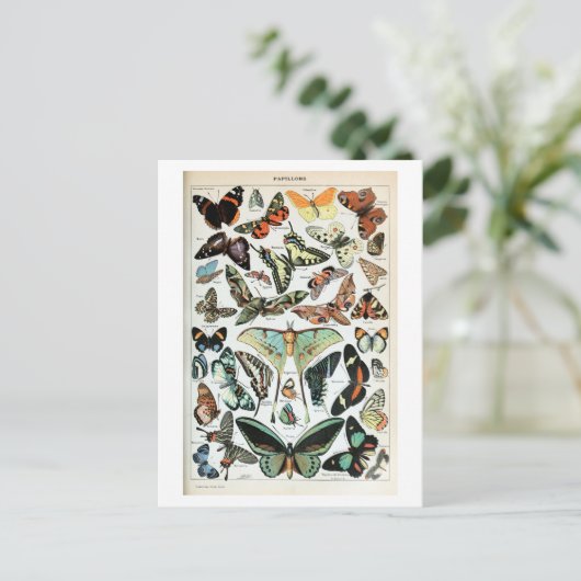 Vintage Schmetterlinge der Welt Postkarte (Stehend Vorderseite)