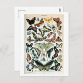 Vintage Schmetterlinge der Welt Postkarte (Vorne/Hinten)