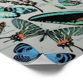 Vintage Schmetterlinge drucken Poster (Ecke)