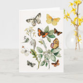 Vintage Schmetterlinge Illustration Kunst Karte (Gelbe Blume)