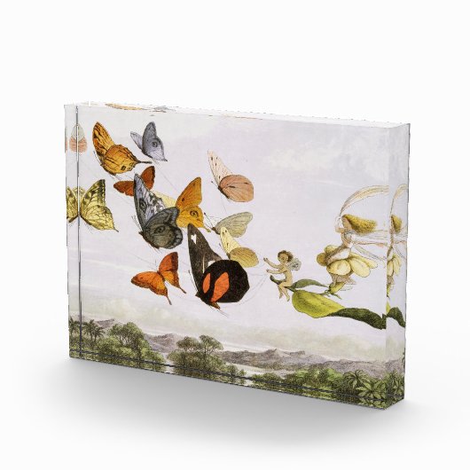 Vintage Schmetterlinge & Märchen Alte Illustration Fotoblock (Rechts)