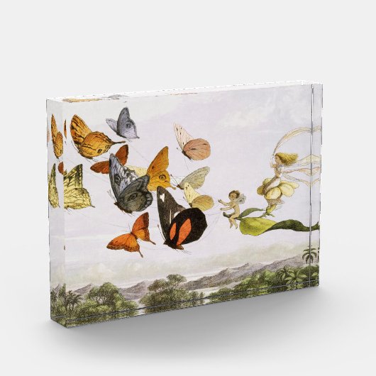 Vintage Schmetterlinge & Märchen Alte Illustration Fotoblock (Links)