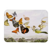 Vintage Schmetterlinge & Märchen Alte Illustration Magnet (Horizontal)