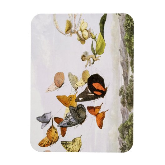 Vintage Schmetterlinge & Märchen Alte Illustration Magnet (Vertikal)