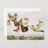 Vintage Schmetterlinge & Märchen Alte Illustration Postkarte (Vorne/Hinten)
