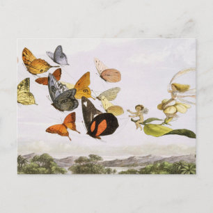 Vintage Schmetterlinge & Märchen Alte Illustration Postkarte
