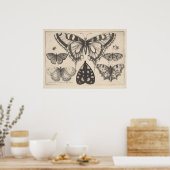 Vintage Schmetterlinge Moth Lepidoptera Print (59) Poster (Küche)