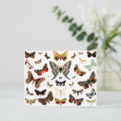 Vintage Schmetterlinge & Moths Illustration Art Postkarte (Stehend Vorderseite)