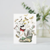 Vintage Schmetterlinge & Moths Illustration Art Postkarte (Stehend Vorderseite)