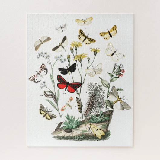 Vintage Schmetterlinge & Moths Illustration Art Puzzle (Vertikal)
