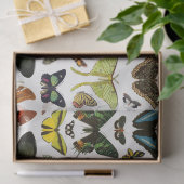 Vintage Schmetterlinge Muster Collage Decoupage Seidenpapier (Geschenk)