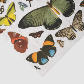 Vintage Schmetterlinge Muster Collage Decoupage Seidenpapier (Detail)