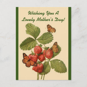 Vintage Schmetterlinge Muttertag Postkarte
