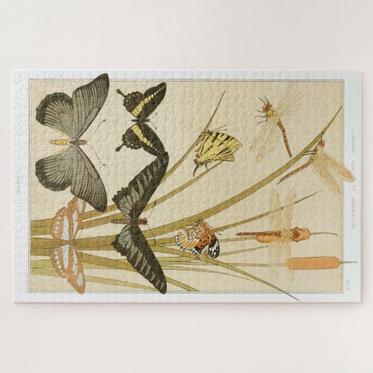 Vintage Schmetterlinge Papillons Illustration Art Puzzle (Horizontal)