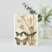 Vintage Schmetterlinge Papillons Illustration Postkarte (Stehend Vorderseite)
