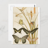Vintage Schmetterlinge Papillons Illustration Postkarte (Vorne/Hinten)