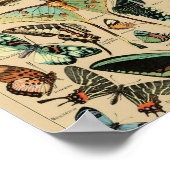 Vintage Schmetterlinge Papillons Poster (Ecke)
