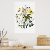 Vintage Schmetterlinge Poster (Küche)