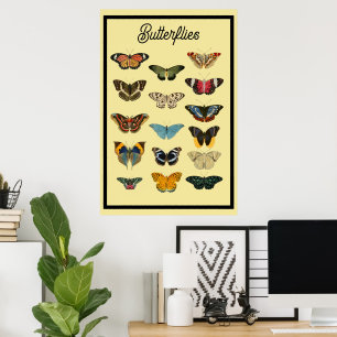 Vintage Schmetterlinge Poster