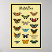 Vintage Schmetterlinge Poster (Vorne)