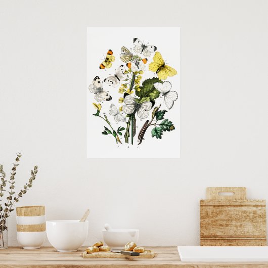 Vintage Schmetterlinge Poster (Küche)