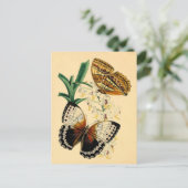 Vintage Schmetterlinge Postkarte (Stehend Vorderseite)