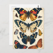 Vintage Schmetterlinge Postkarte (Vorne/Hinten)