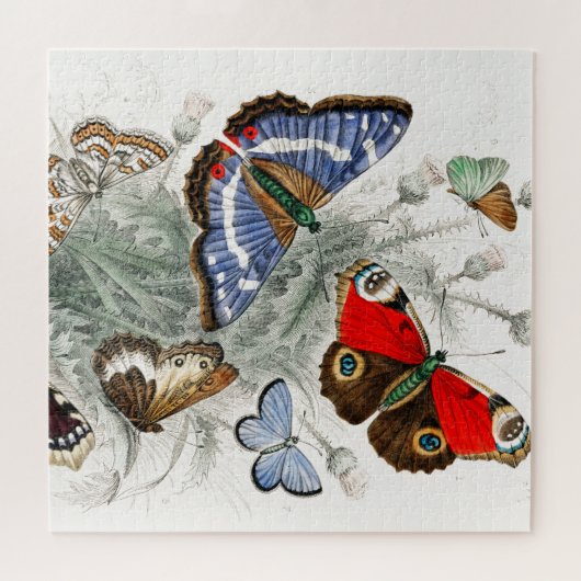 Vintage Schmetterlinge Puzzle (Horizontal)