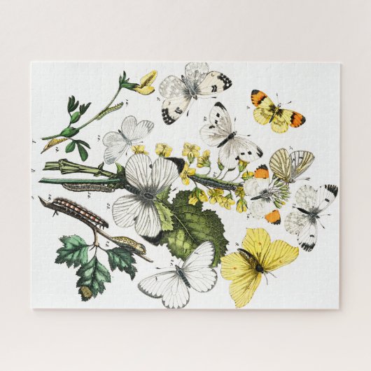 Vintage Schmetterlinge Puzzle (Horizontal)