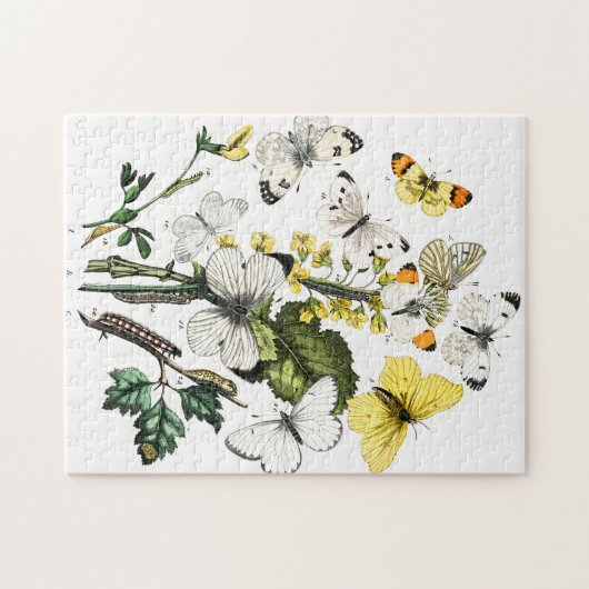 Vintage Schmetterlinge Puzzle (Horizontal)
