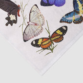 Vintage Schmetterlinge Seidenpapier (Ausschnitt)
