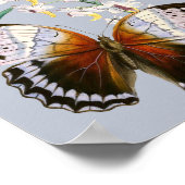 Vintage Schmetterlinge und Blumenbilder Poster (Ecke)