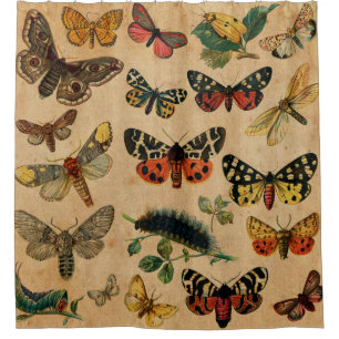 Vintage Schmetterlinge und Motive (8).jpg Duschvorhang