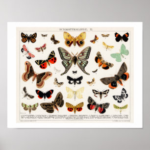 VINTAGE-SCHMETTERLINGE UND MOTTEN LITHOGRAPHIE-PLA POSTER