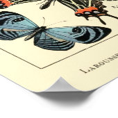 Vintage Schmetterlinge von Adolfmühle Poster (Ecke)