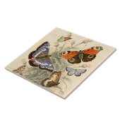 Vintage Schmetterlinge von Oliver Goldsmith Fliese (Seite)