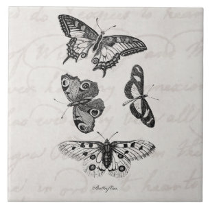 Vintage Schmetterlings-Illustration 1800s Fliese