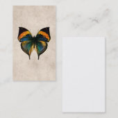 Vintage Schmetterlings-Illustration - Visitenkarte (Vorne/Hinten)