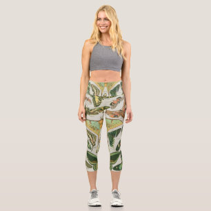 Vintage Schmetterlings-Motten-Musterdruck Capri Leggings