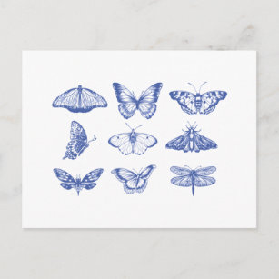 Vintage Schmetterlingsbilder in Blau  Postkarte