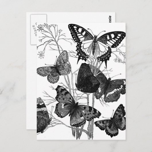 Vintage Schmetterlingsbrille drucken Postkarte (Vorne/Hinten)