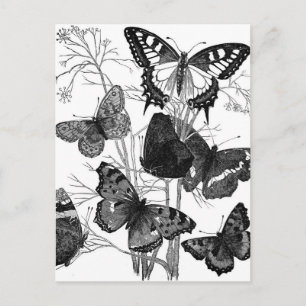 Vintage Schmetterlingsbrille drucken Postkarte