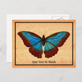 Vintage Schmetterlingsdarstellung Feiertagspostkarte (Vorne/Hinten)